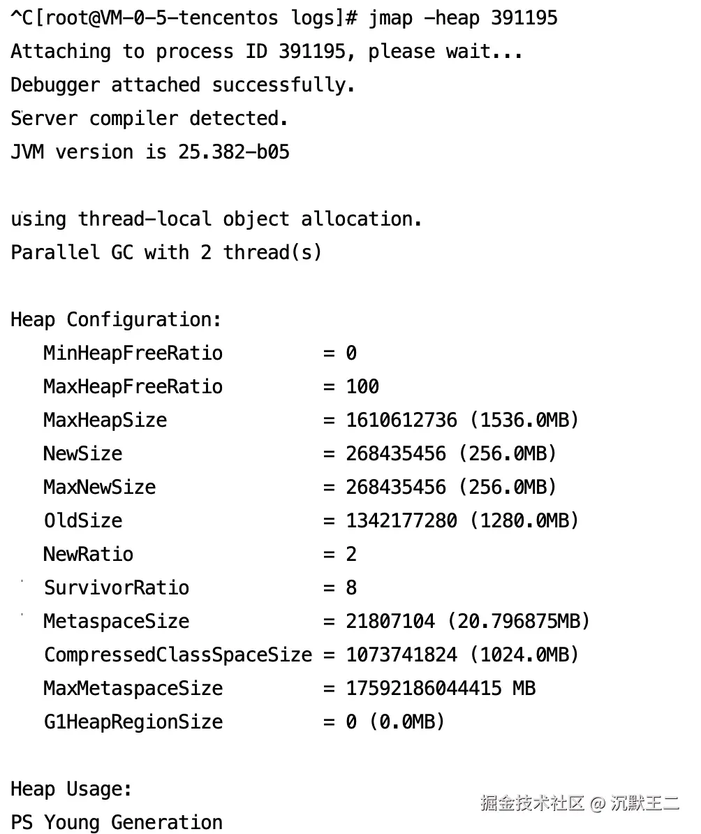 二哥的 Java 进阶之路：jmap
