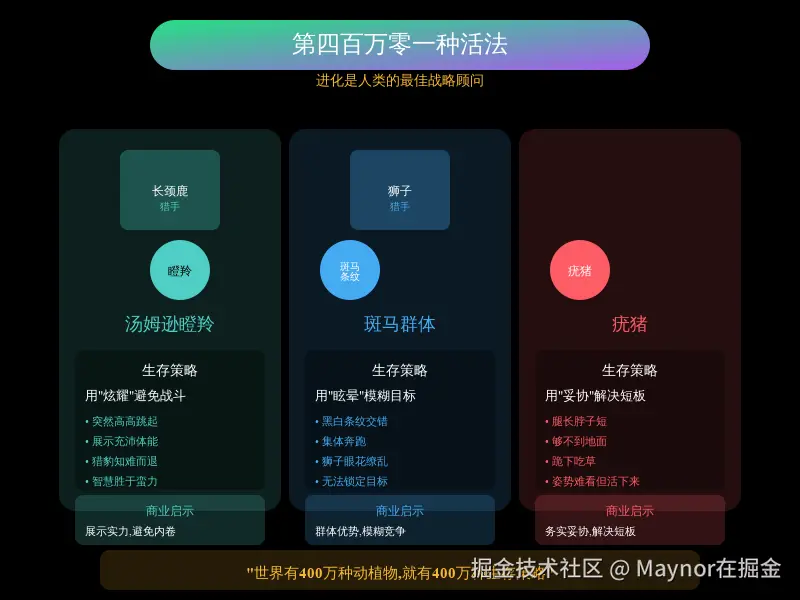 12_三种动物生存策略