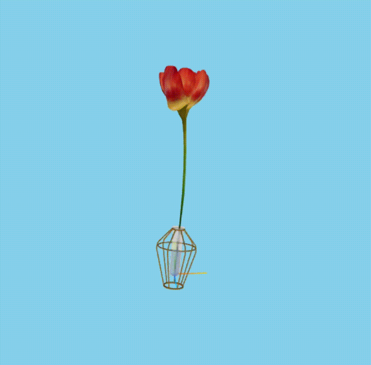 screenshot_2026-01-28_17-56-51.gif