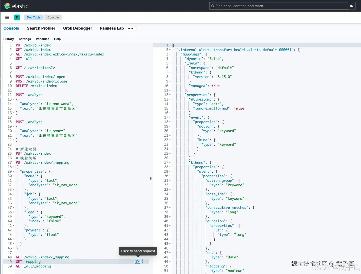 Elasticsearch 所有映射关系