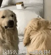 开心一刻