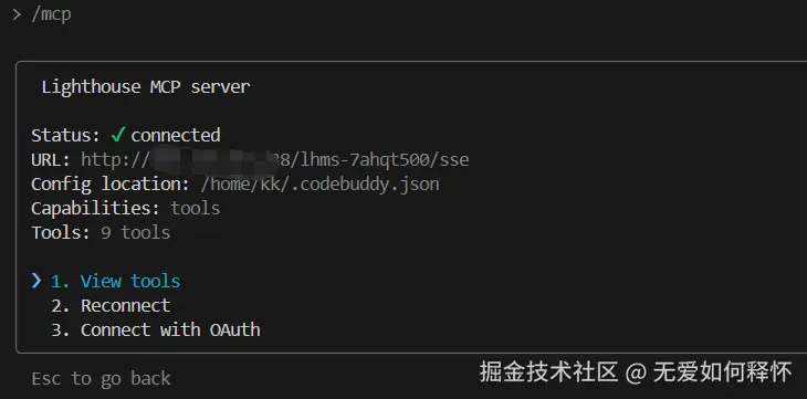 在 Codebuddy 中查看已连接的 MCP