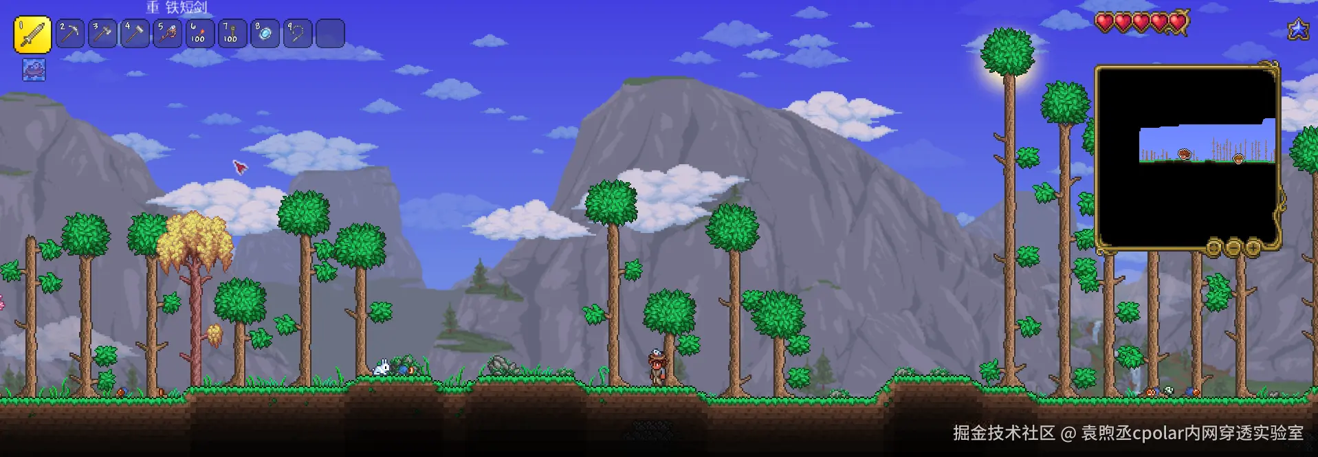 image-20240417193345345
