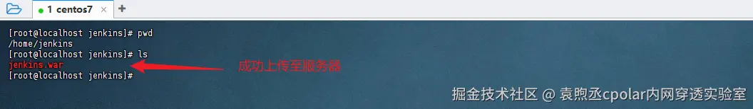 image-20250806184328717