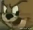 image-20250218014523741.png