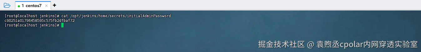 image-20250804154244096