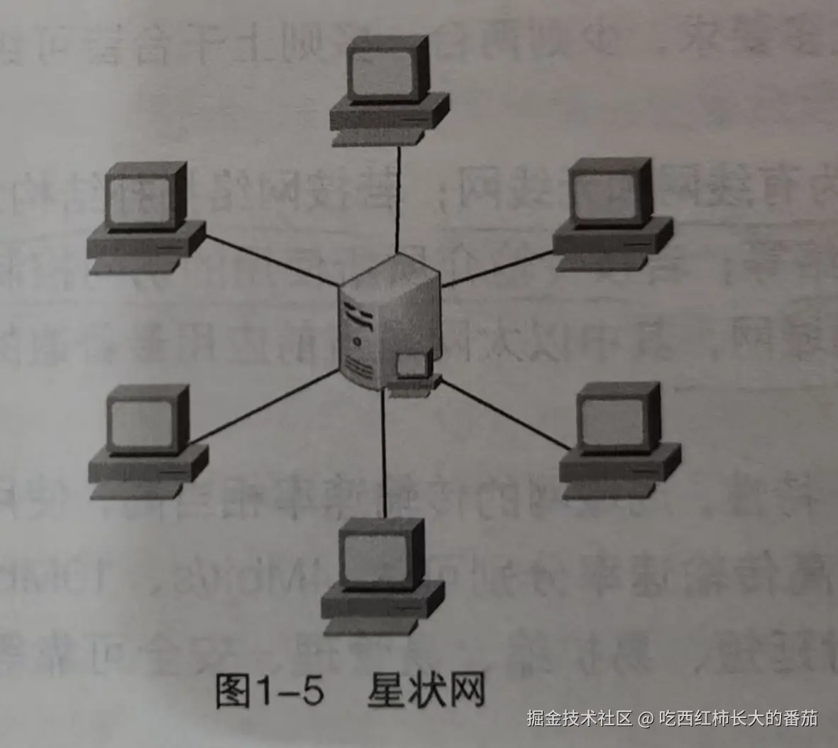 星状网.jpg