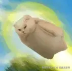 屏幕截图 2024-12-20 001017.png