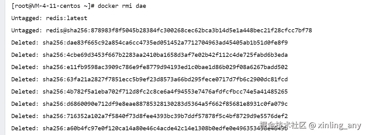 image-20240821103550646