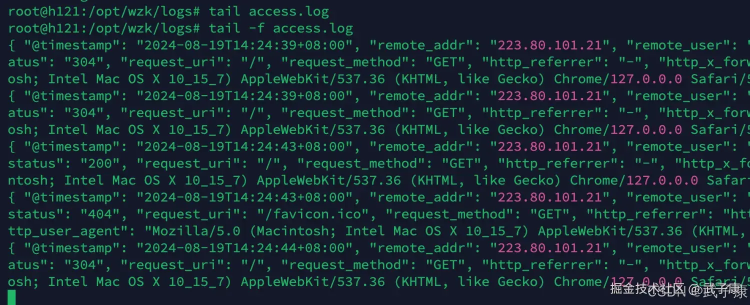 查看Nginx的日志