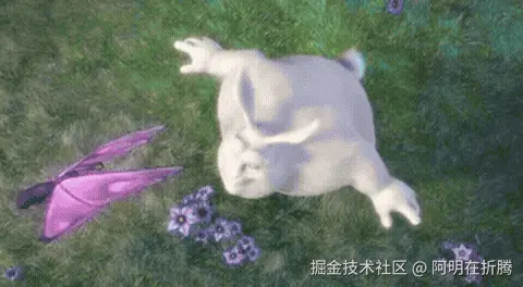 视频转GIF效果.gif