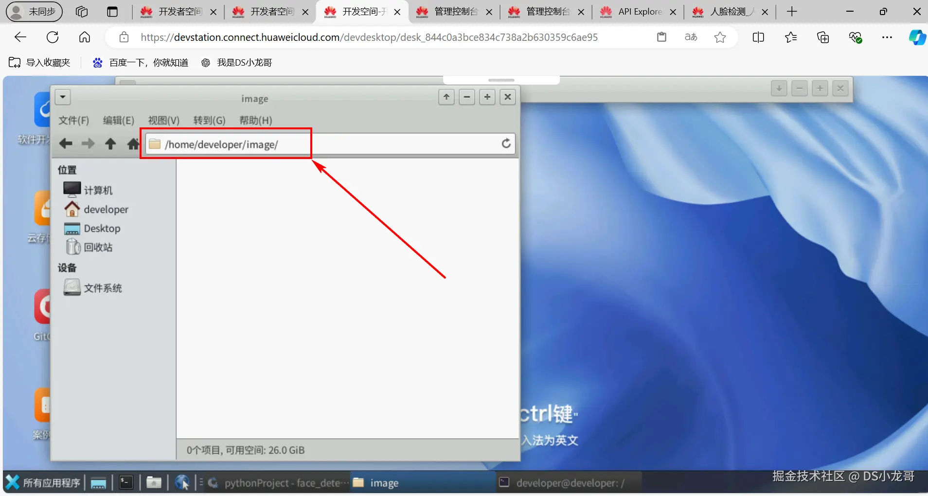 image-20241128153923767
