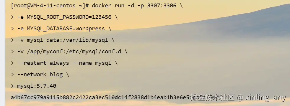 image-20240823142806703