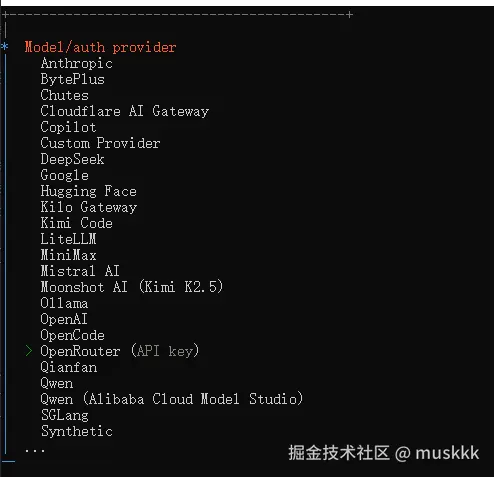 选择 OpenRouter 并输入 Key