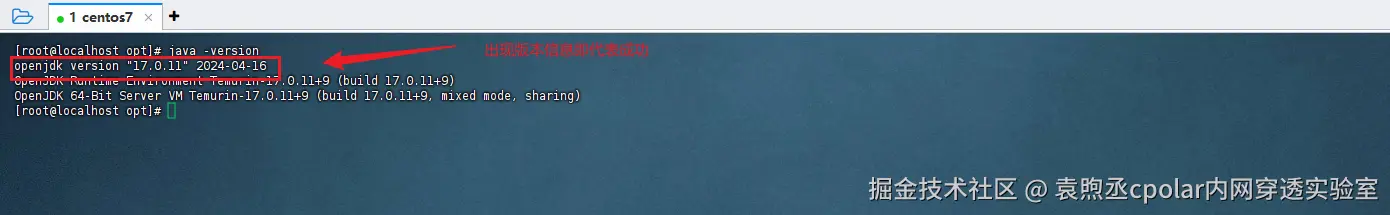 image-20250804150059148