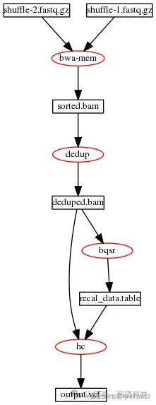 图1 DNAseq®流程的典型数据流程