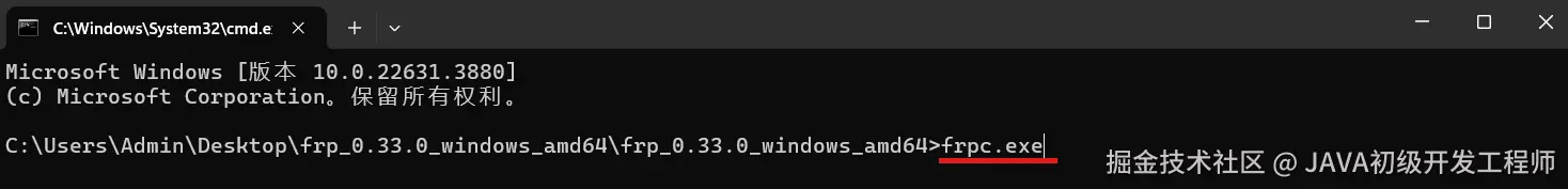 frpc_start.png