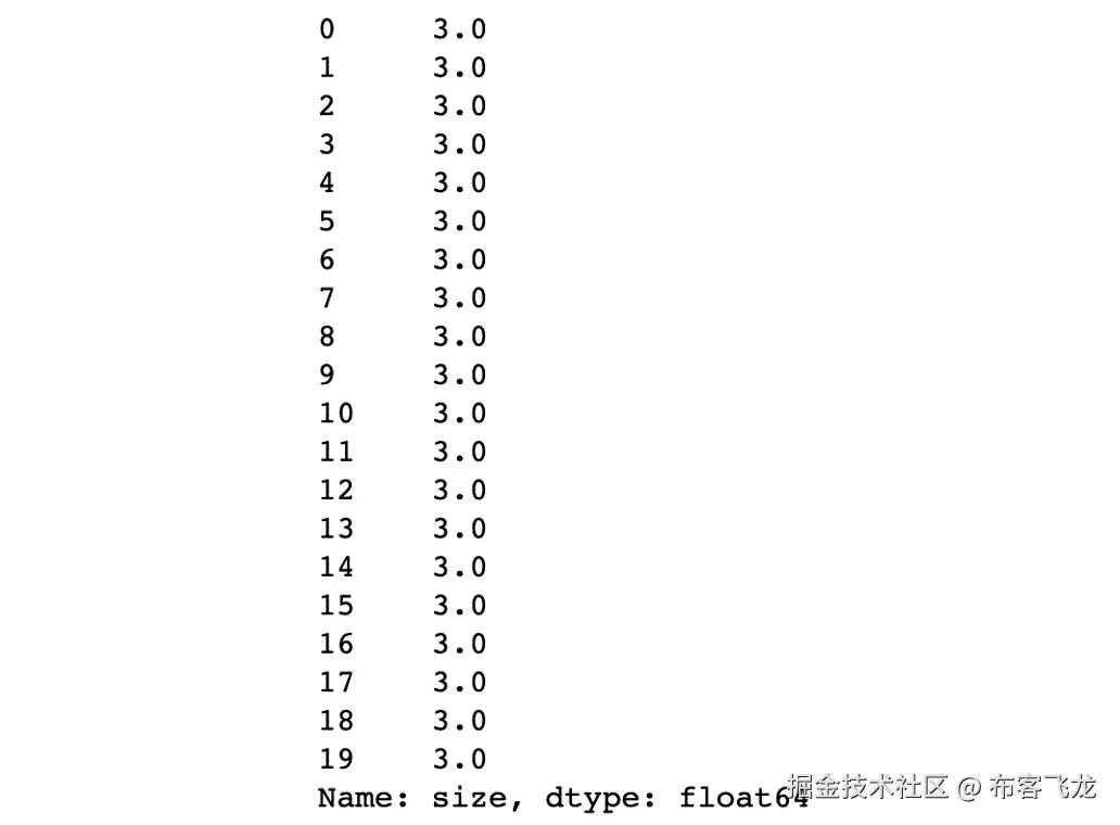 图 1.9：展示了年龄变量前 20 个实例的截图    