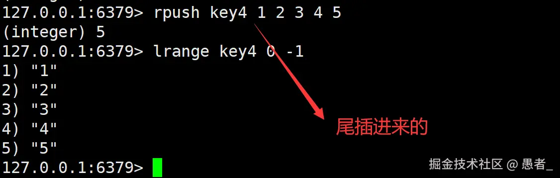 image-20240704145038461