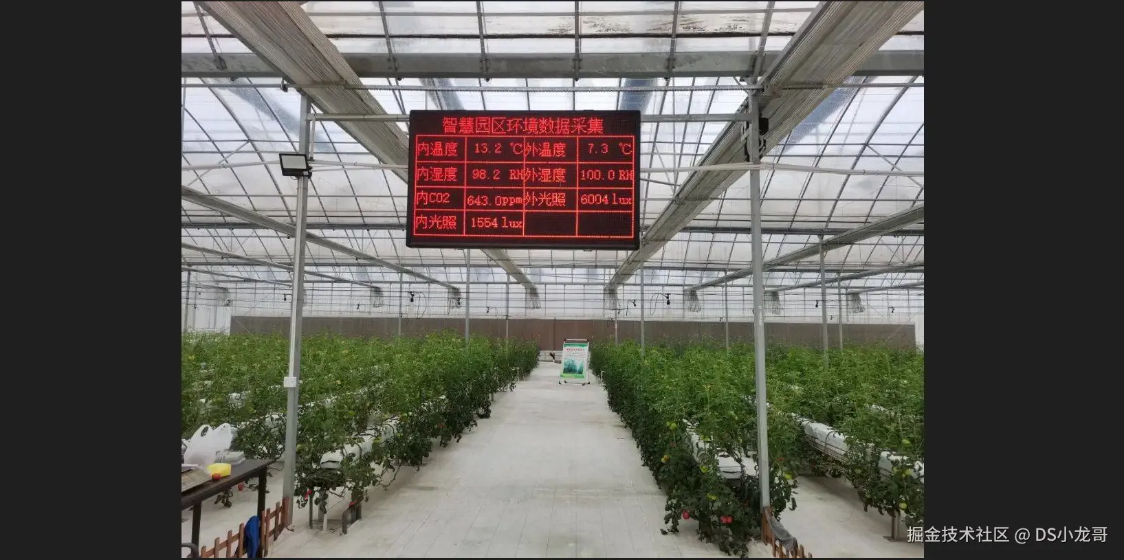 image-20240927111022591