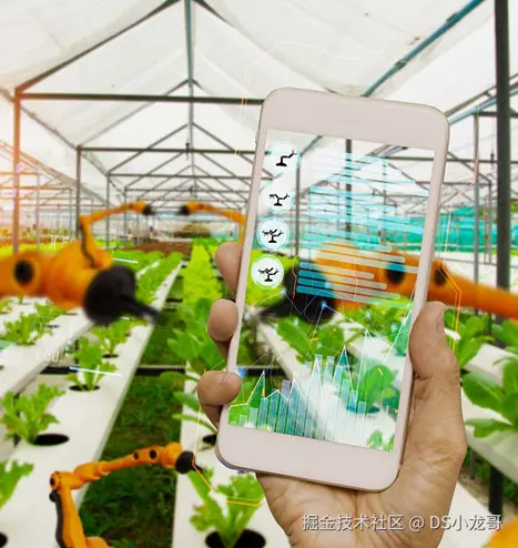 image-20250619094936770