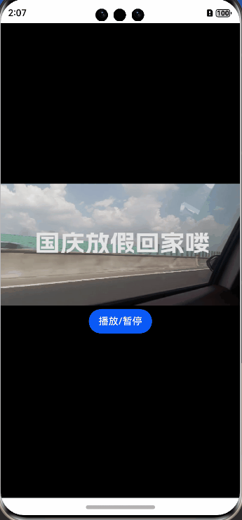 video-example3.gif