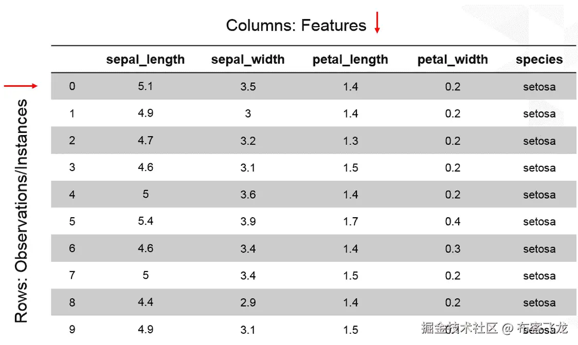 图 1.2：展示鸢尾花数据集前 10 个实例的表格
