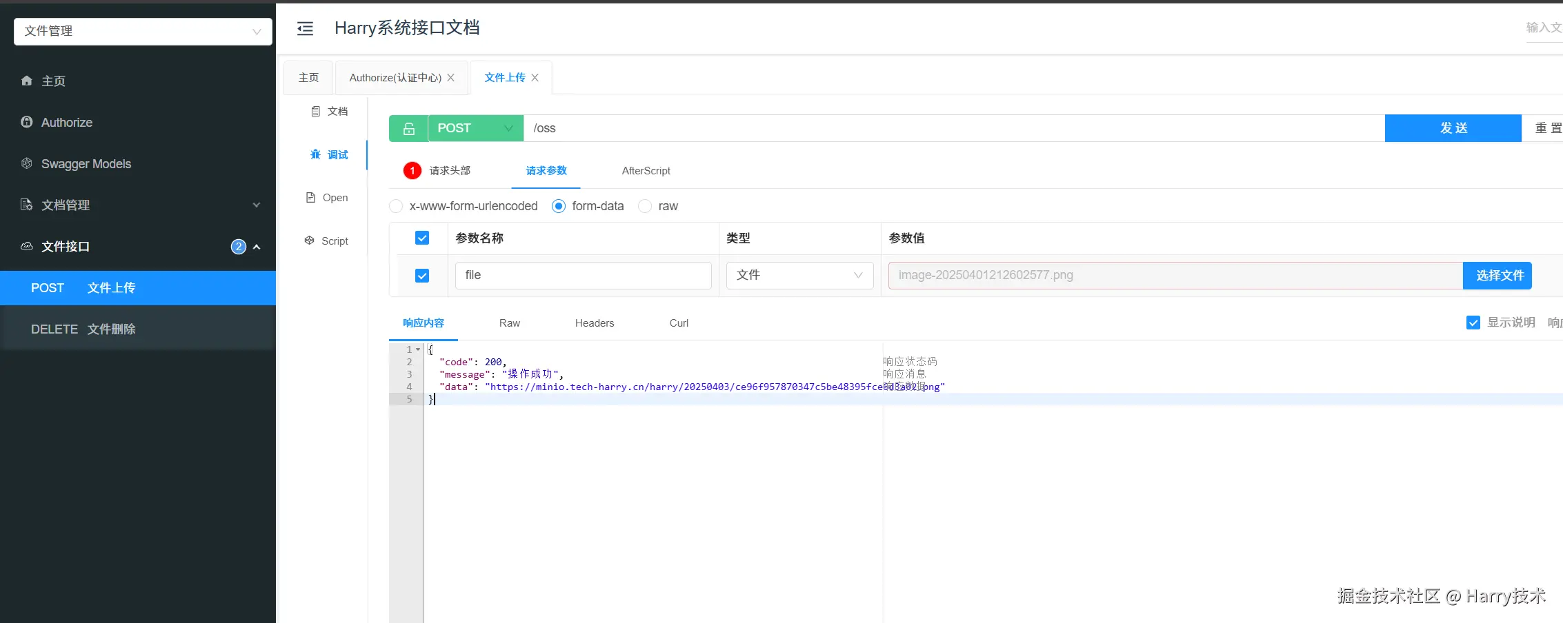 image-20250403170546311