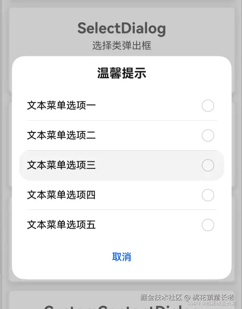 SelectDialog