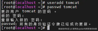 image-20250826154329831
