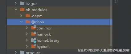 多Module设计机制详解：构建高效的应用模块体系