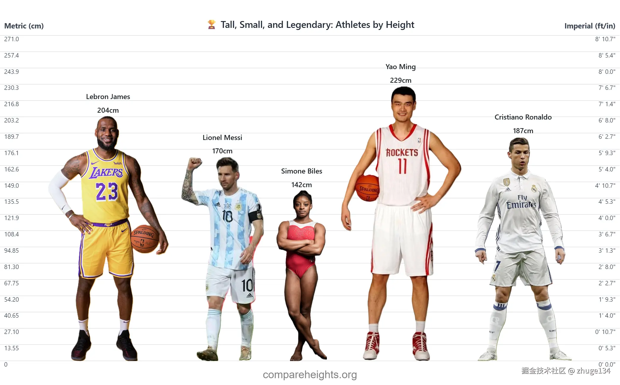 🏆 Tall, Small, and Legendary_ Athletes by Height.png
