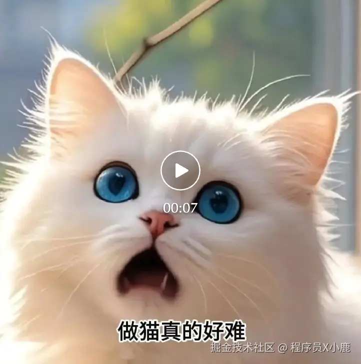 截屏2025-01-03 14.16.11.png