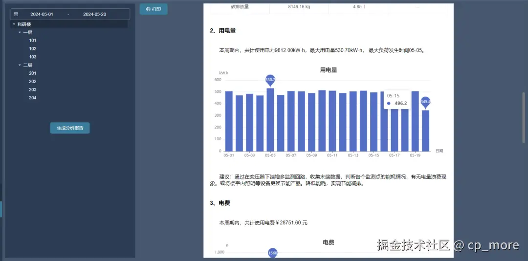 分析报告