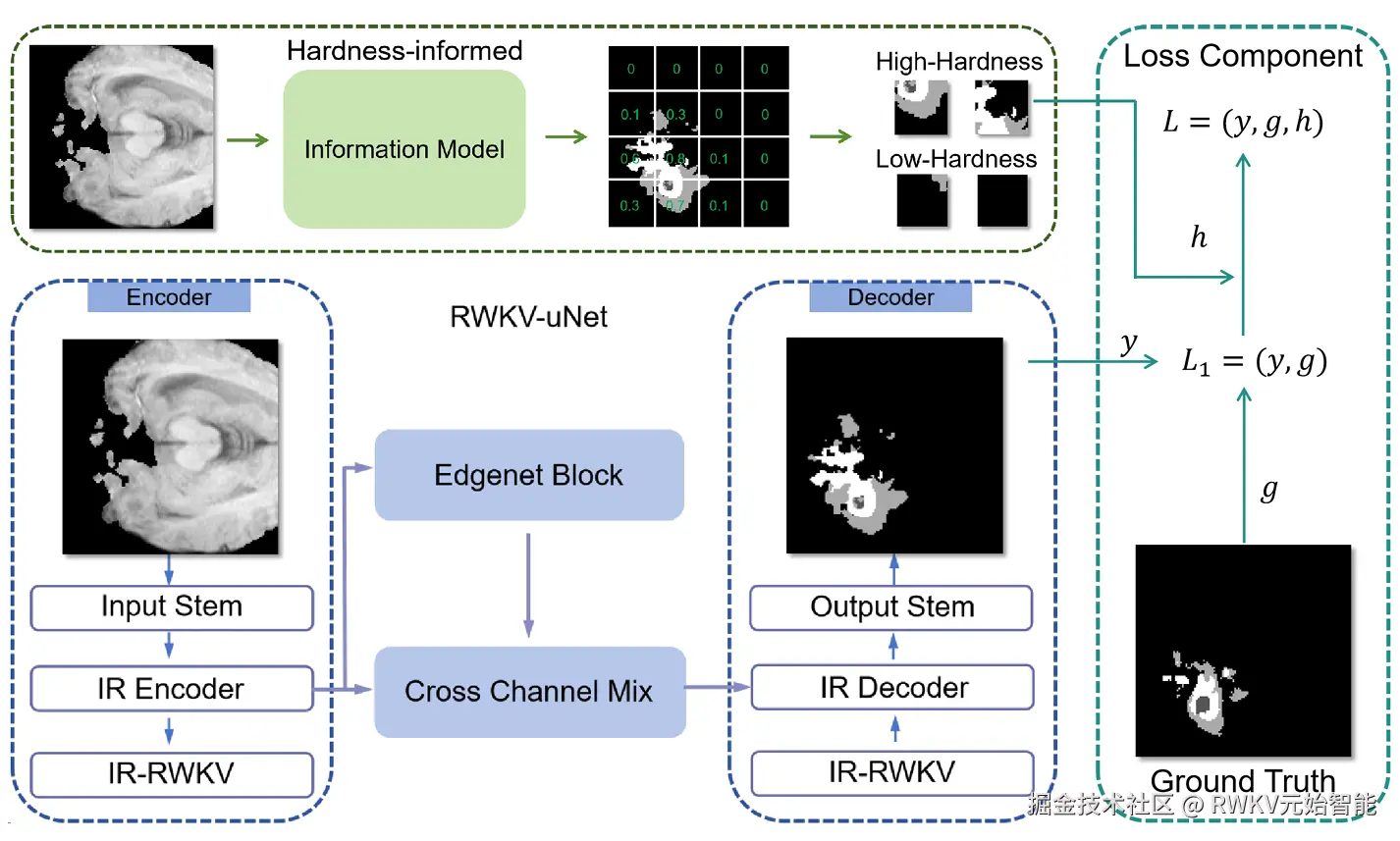 20250603-Diet-Seg Dynamic