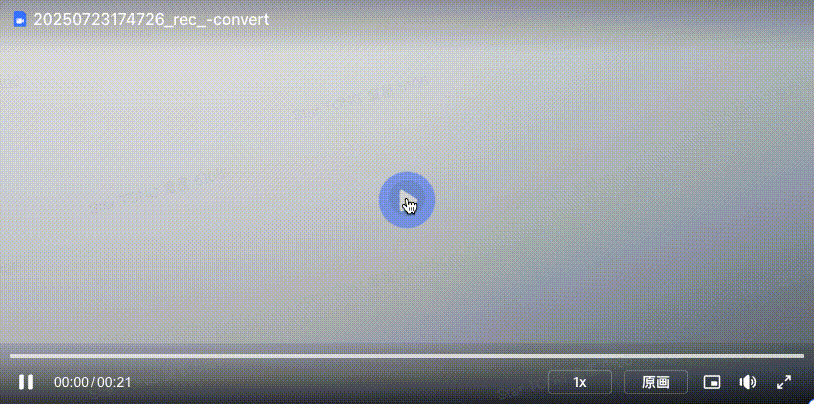 20250730102646_rec_-convert.gif