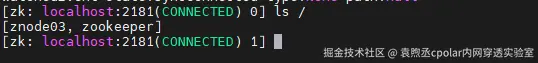 image-20251204170748622