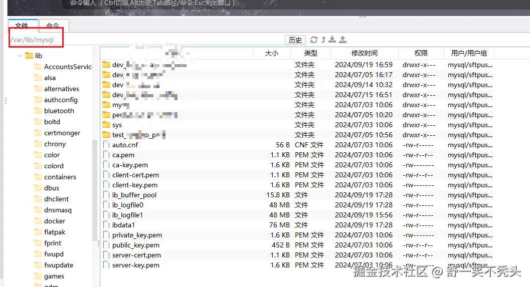 image-20240919230556767