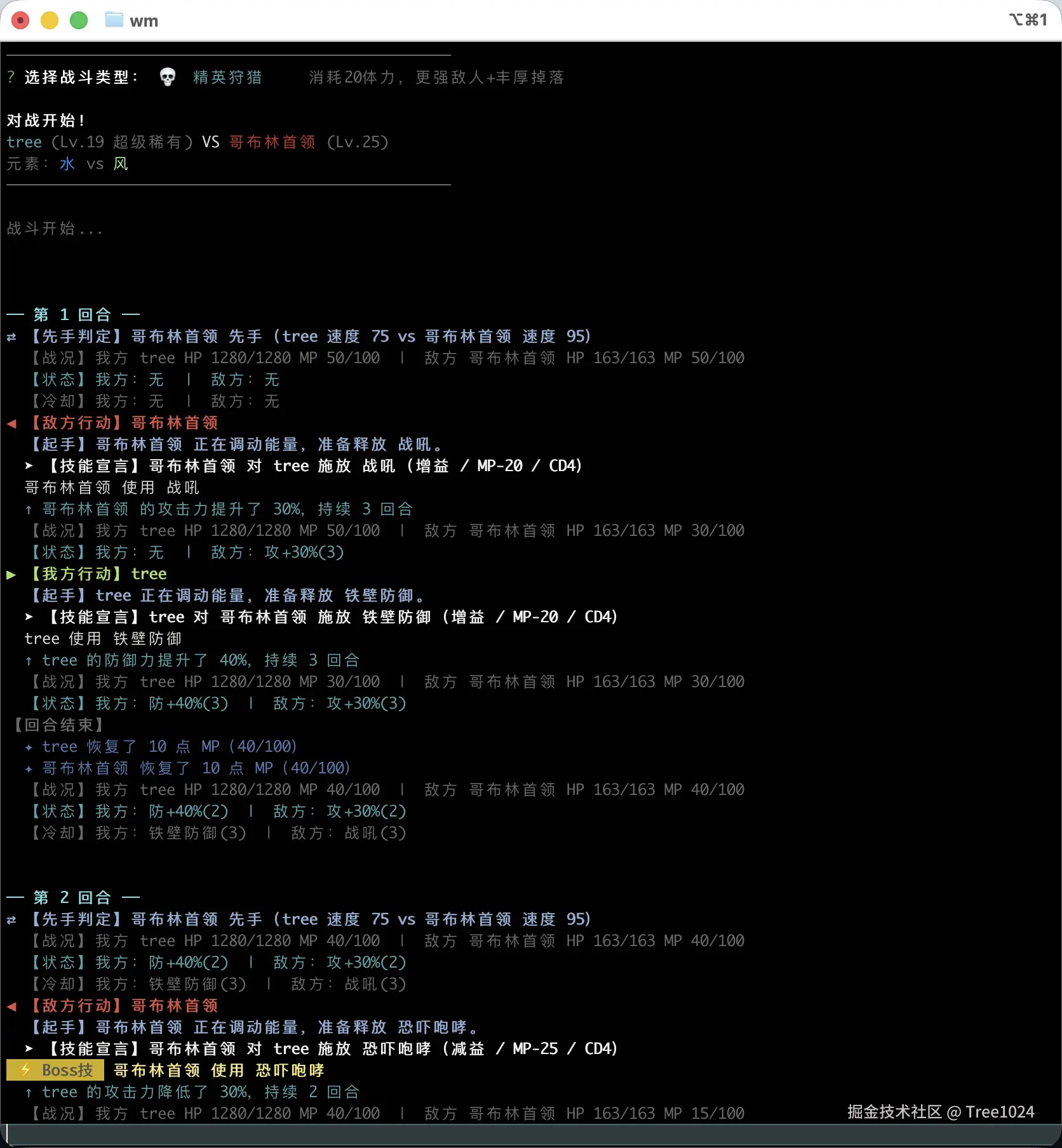05-3-battle.jpg