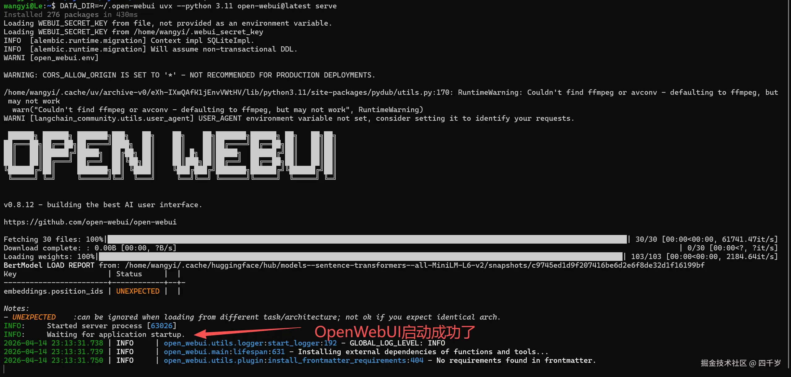 OpenWebUI启动成功
