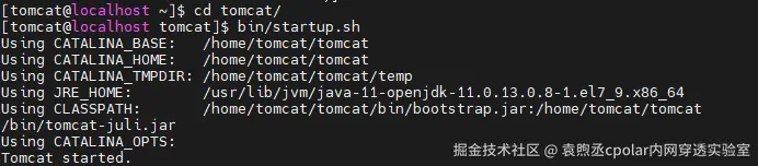 image-20250826160452317