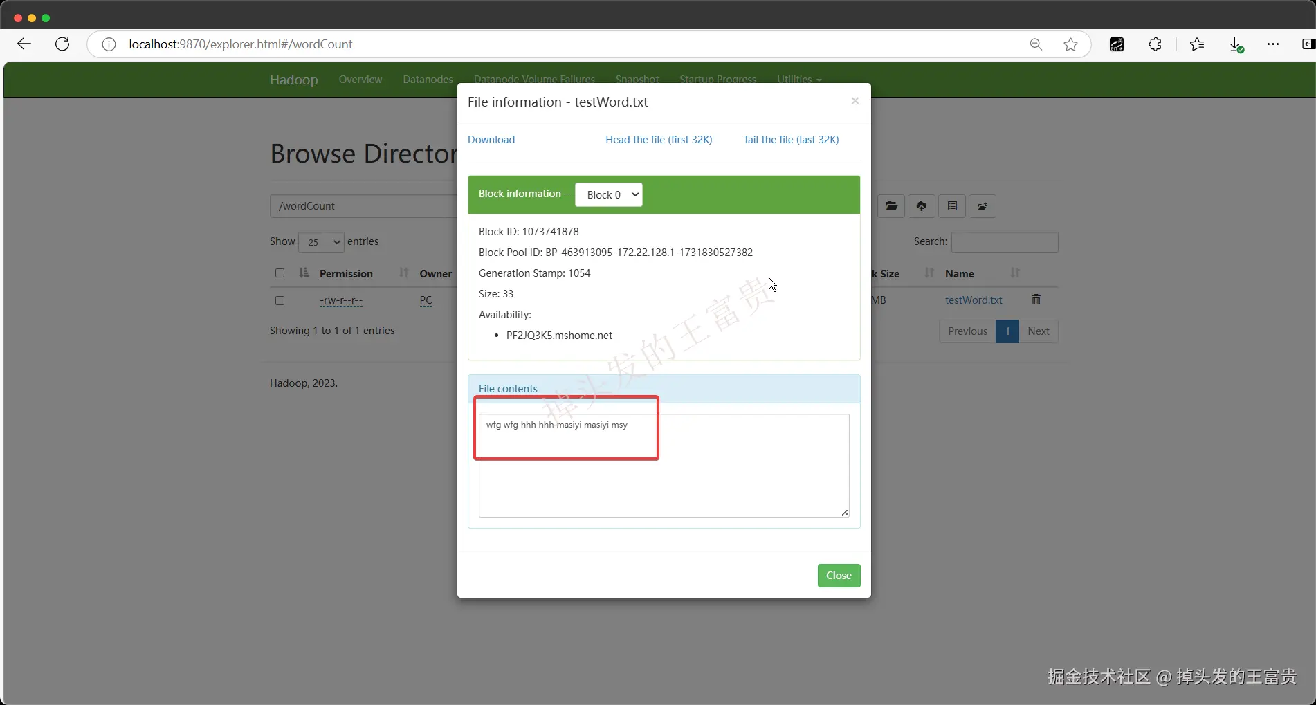 image-20241117194340723