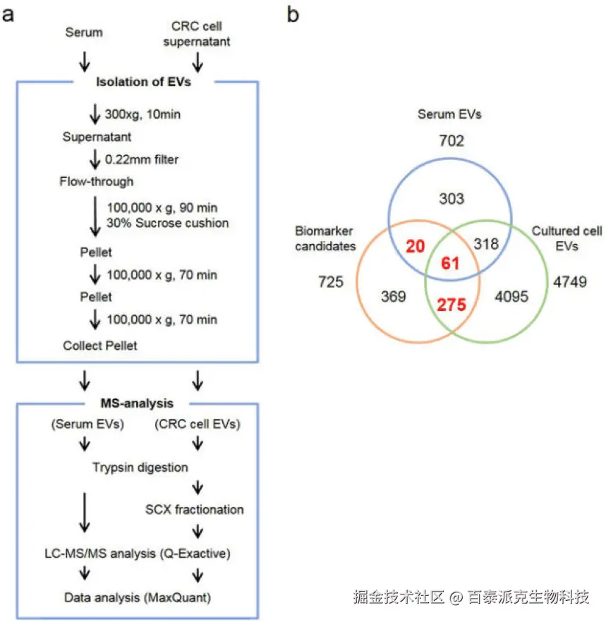 20221219-8625-靶向蛋白组学研究直肠癌生物靶标-2.png