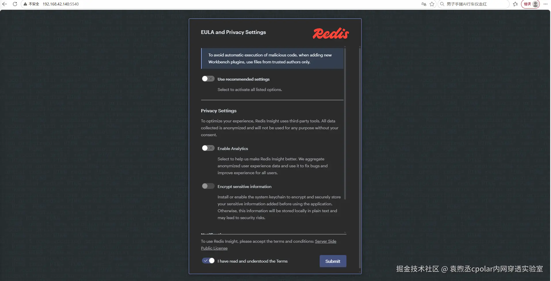 Redis Insight启动页面