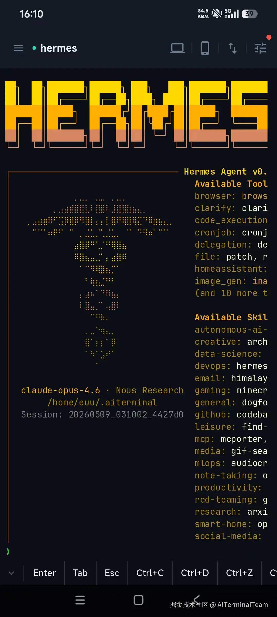 04\_terminal\_hermes.jpg
