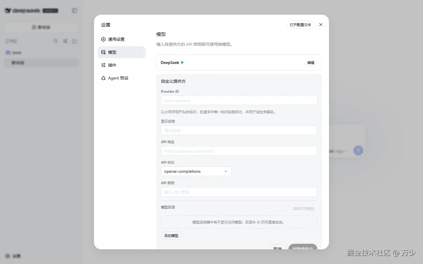 Custom Provider Form