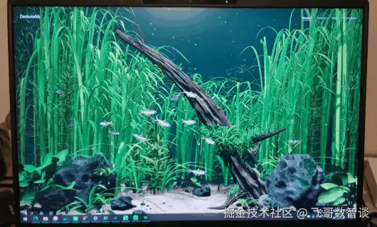 飞书20261006-211159.gif