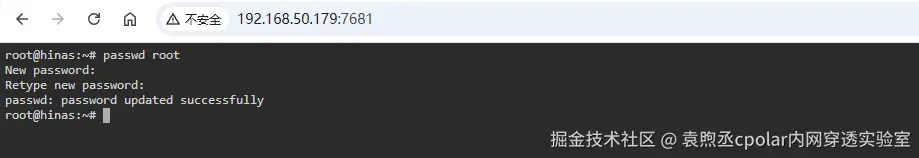 image-20251130212250824