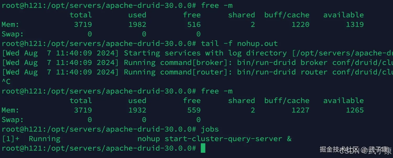 节点1 Druid 启动